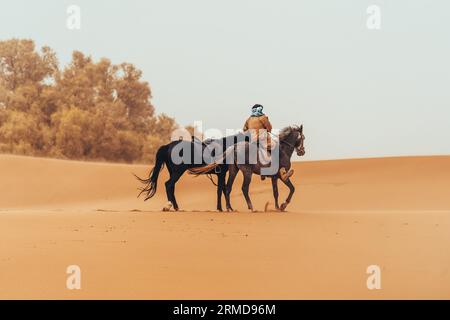 Uomo berbero marocchino con cavalli attraverso il deserto del sahara a Merzouga, Marocco Foto Stock