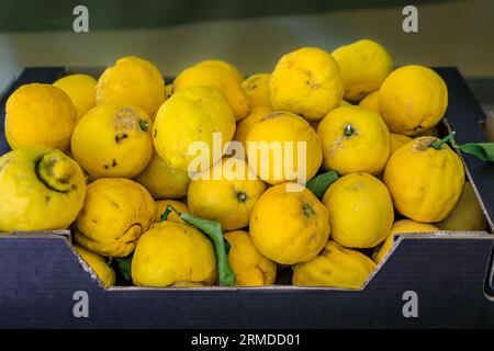 Sapone artigianale colorato e giallo al limone in un mercato agricolo locale nella città vecchia di Vieille Ville a Mentone, Costa Azzurra, nel sud della Francia Foto Stock