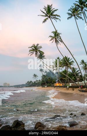 Alba con pescatori a Unawatuna, Sri Lanka, spiaggia, palme e oceano Foto Stock