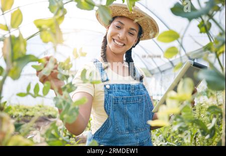 Donna, giardinaggio e tavoletta in serra per l'agricoltura, controllare piante e analisi ecologia. Agricoltore felice, imprenditore sostenibile e digitale Foto Stock