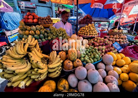 Fornitore di frutta al lavoro, Srinagar, Kashmir, India Foto Stock