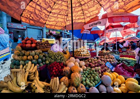 Fornitore di frutta al lavoro, Srinagar, Kashmir, India Foto Stock