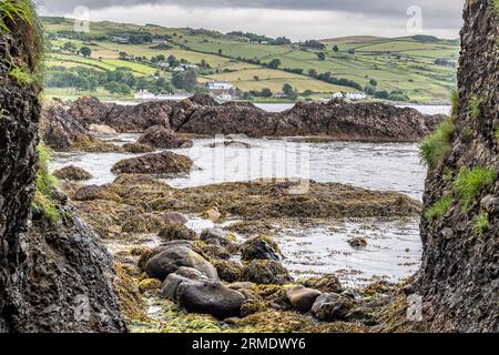 Cushendun Caves, Cushendun, Antrim, Irlanda del Nord, Regno Unito - utilizzato come sfondo nella serie TV Game of Thrones. Foto Stock