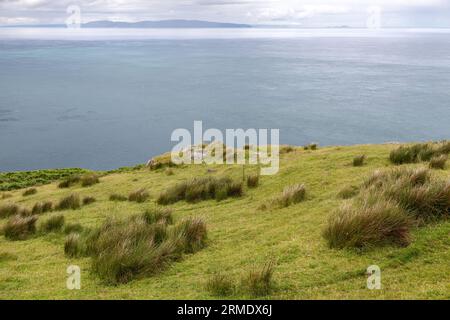 Vista del Mull of Kintyre in Scozia da Torr Head, Antrim, Irlanda del Nord, Regno Unito - giorno di pioggia Foto Stock