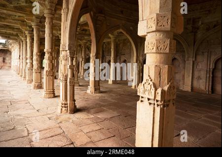 Colonne scolpite all'interno della moschea Malik Mughith, costruita nel 1452, appartiene alla prima fase dell'architettura Mulsim a Malwa, Mandu, Madhya Pradesh, Foto Stock