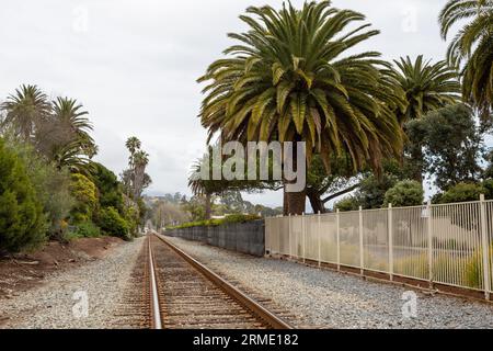 Binari ferroviari circondati da ghiaia e lussureggianti palme verdi con recinzione e cielo nuvoloso in California USA. . Paesaggio di binari ferroviari in America che attraversa la campagna e la città. Foto Stock