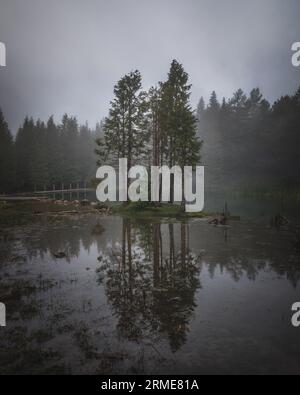 Nebbia sul fiume al mattino nel Parco naturale della Sierra Entzia, Alava Foto Stock