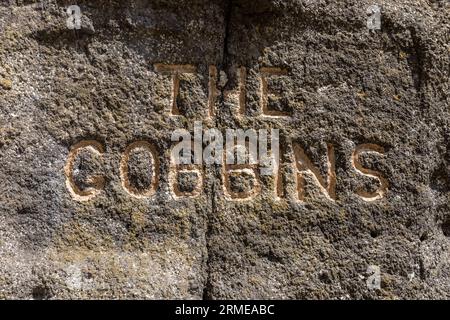 Ingresso, The Gobbins Cliff Path, Islandmagee, County Antrim, Irlanda del Nord, Regno Unito Foto Stock