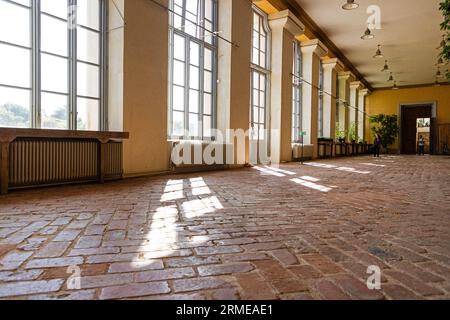 Il Giardino Botanico dell'Università di Uppsala (in svedese: Botaniska trädgården), vicino al Castello di Uppsala, è il principale giardino botanico appartenente all'Università di Uppsala. Nella foto: L'Orangerie nell'edificio Linneanum. Foto Stock