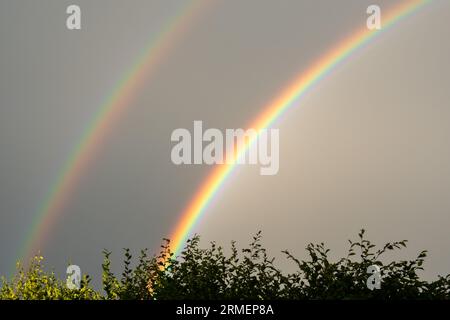 Doppelter Regenbogen nach einem Sommergewitter a Oberbayern Foto Stock