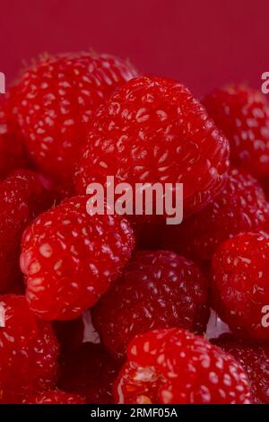 Micro primo piano dei lamponi con spazio per la copia su sfondo rosso Foto Stock