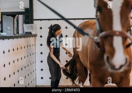 Donna sorridente in stalle che cura il cavallo Foto Stock