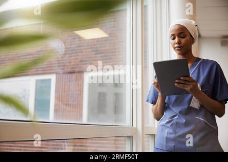 Giovane medico donna che usa una compressa al lavoro Foto Stock