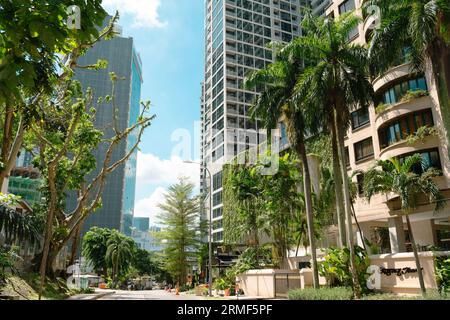 Kuala Lumpur, Malesia - 10 luglio 2023: Via Bukit Bintang con palma Foto Stock