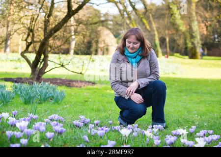 Ragazza che guarda le crocche primaverili in un parco Foto Stock