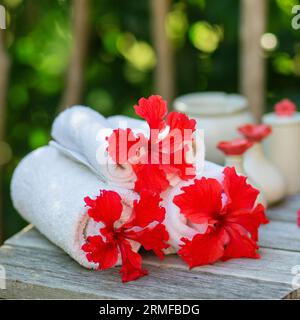 Ambiente benessere con asciugamani e bellissimi fiori rossi di ibisco Foto Stock