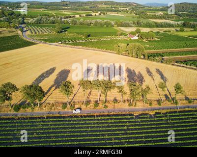Paesaggio mediterraneo panoramico aereo con cipressi, ulivi e vigneti in Provenza, nel sud della Francia Foto Stock