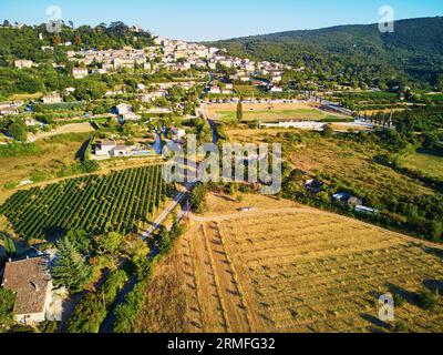 Paesaggio mediterraneo panoramico aereo con cipressi, ulivi e vigneti in Provenza, nel sud della Francia Foto Stock