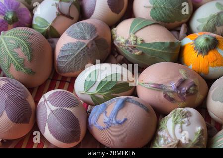 Preparazione delle uova per Pasqua, la tintura è fatta con ingredienti naturali presenti nelle erbe e nelle erbe Foto Stock