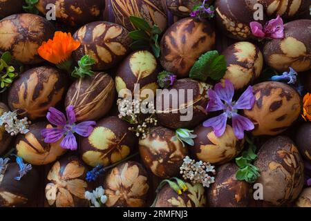 Preparazione delle uova per Pasqua, la tintura è fatta con ingredienti naturali presenti nelle erbe e nelle erbe Foto Stock