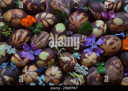 Preparazione delle uova per Pasqua, la tintura è fatta con ingredienti naturali presenti nelle erbe e nelle erbe Foto Stock