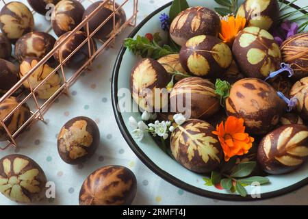 Preparazione delle uova per Pasqua, la tintura è fatta con ingredienti naturali presenti nelle erbe e nelle erbe Foto Stock