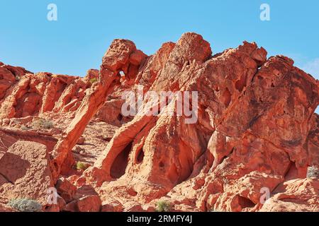 Formazione rocciosa di elefanti nel parco nazionale Valley of the Fire in Nevada, Stati Uniti Foto Stock