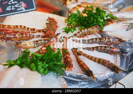 Aragosta fresca sul mercato agricolo di Parigi, Francia. Tipico mercato ittico europeo Foto Stock