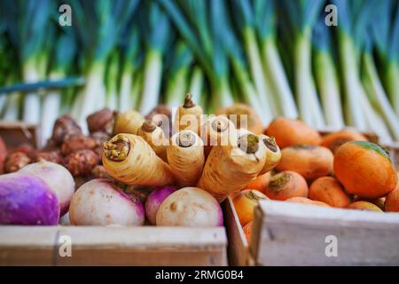 Pastinaca biologica fresca, rapa, carote e porro sul mercato agricolo di Parigi, Francia. Tipico mercato europeo dei prodotti coltivati in casa Foto Stock