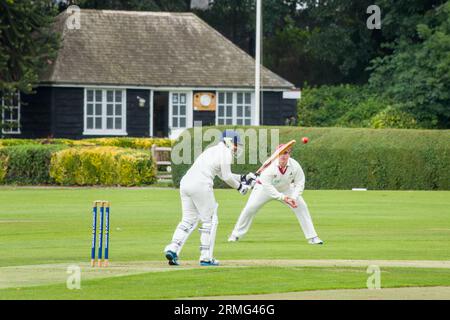 Priory Park Cricket Club in azione Chichester West Sussex, Inghilterra Foto Stock