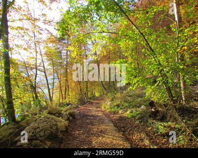 Sentiero a piedi vicino al lago Bohinj con foglie autunnali rosse e gialle nella regione di Gorenjska in Slovenia Foto Stock