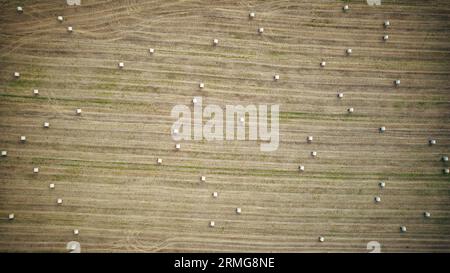 Foto aerea panoramica della natura nello Yorkshire Foto Stock