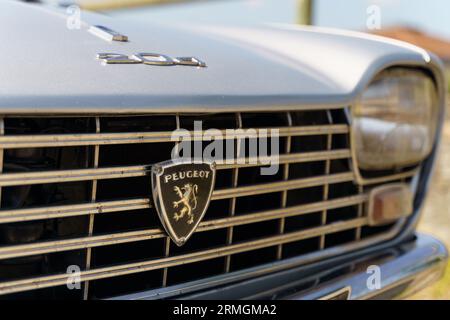 Langeac, Francia - 27 maggio 2023: Primo piano dell'emblema della Peugeot 204 Silver car. Foto Stock