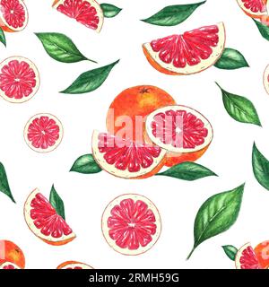 Acquerello motivo senza cuciture pompelmo, arancio su sfondo bianco, dipinto a mano in stile botanico, per vacanze, matrimoni, design gastronomico. Citrusy Foto Stock