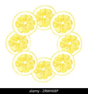 Acquerello Set di limoni, foglie e fiori, dipinti a mano in stile botanico, per l'uso in vacanza, matrimonio, e progettazione alimentare. Clipart agrumi tropicale Foto Stock