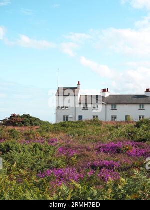 Guardia costiera, Dunwich Heath, Suffolk, Regno Unito Foto Stock