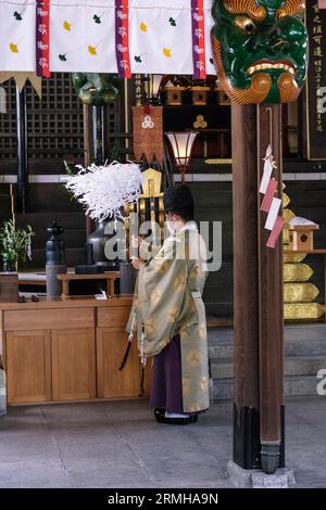 Giappone, Fukuoka, Hakata. Sacerdote shintoista che esegue una cerimonia per un adoratore al santuario shintoista Kushida. Foto Stock