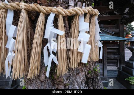 Giappone, Fukuoka. Santuario shintoista Kushida. Shimenawa Rope and Paper Streamers (Shide) tied Around Tree designano uno spazio sacro, un Ward Against Evil. Foto Stock
