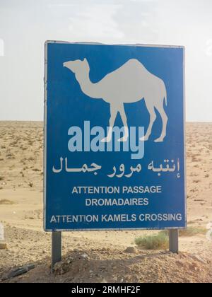 Kamel Crossing Sign nel mezzo del deserto del Sahara Foto Stock