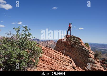 Vista sul retro della donna che fa escursioni di una giornata in piedi su Lambs Knoll vicino al Parco Nazionale di Zion nello Utah, godendo della vista Foto Stock