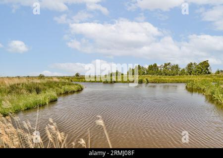 un fiume nel mezzo di un campo con erba alta e alberi su entrambi i lati c'è un cielo blu pieno di nuvole bianche Foto Stock