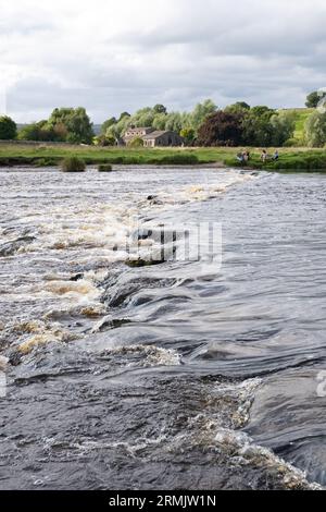 Linton Stepping Stones attraverso il River Wharfe che conduce alla chiesa di St Michael and All Angels - impraticabile dato che il fiume è alto, Linton, Skipton, Inghilterra Foto Stock