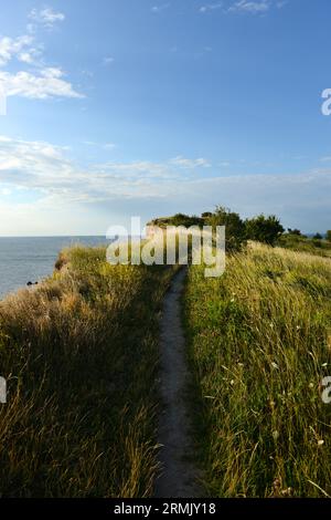 Splendido paesaggio costiero lungo la grande cintura di Korsør, Danimarca. Foto Stock