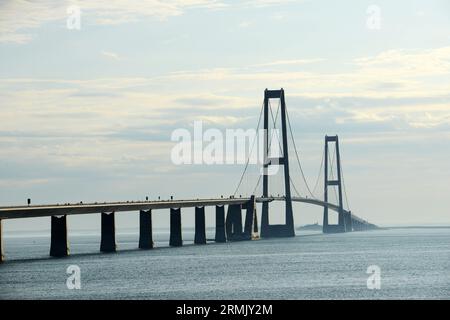 Una vista del grande Ponte del Belt ( Storebæltsbroen ) che collega le isole di Funen una Zelanda in Danimarca. Foto Stock