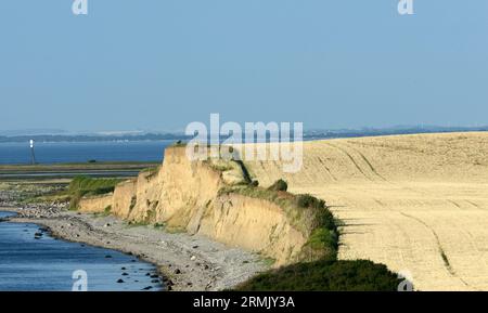 Splendido paesaggio costiero lungo la grande cintura di Korsør, Danimarca. Foto Stock