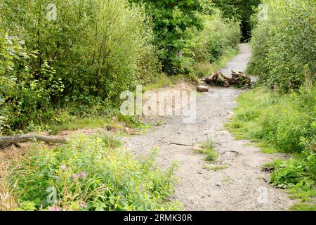 Quattro cascate Gwaun Hapste Brecon Beacons, Bannau Brycheiniog Galles Foto Stock