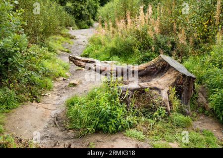 Quattro cascate Gwaun Hapste Brecon Beacons, Bannau Brycheiniog Galles Foto Stock