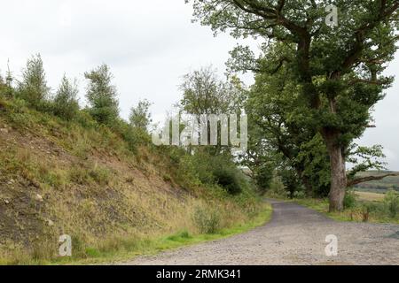 Quattro cascate Gwaun Hapste Brecon Beacons, Bannau Brycheiniog Galles Foto Stock