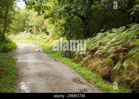 Quattro cascate Gwaun Hapste Brecon Beacons, Bannau Brycheiniog Galles Foto Stock