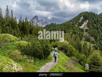 Alpinista su un sentiero escursionistico nella zona del Rotwand, cime rocciose del Ruchenkoepfe sullo sfondo, montagne della Mangfall, Baviera, Germania Foto Stock